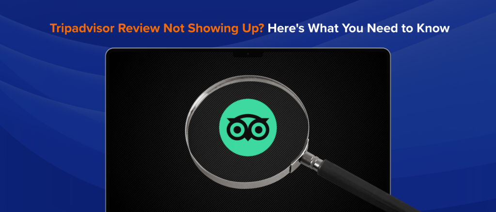 Tripadvisor Review Not Showing Up